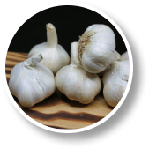 garlic