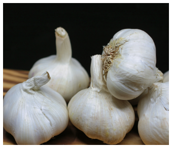 garlic
