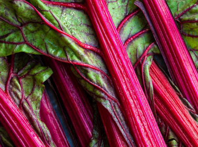 Swiss Chard