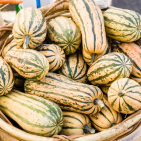 Winter Squash