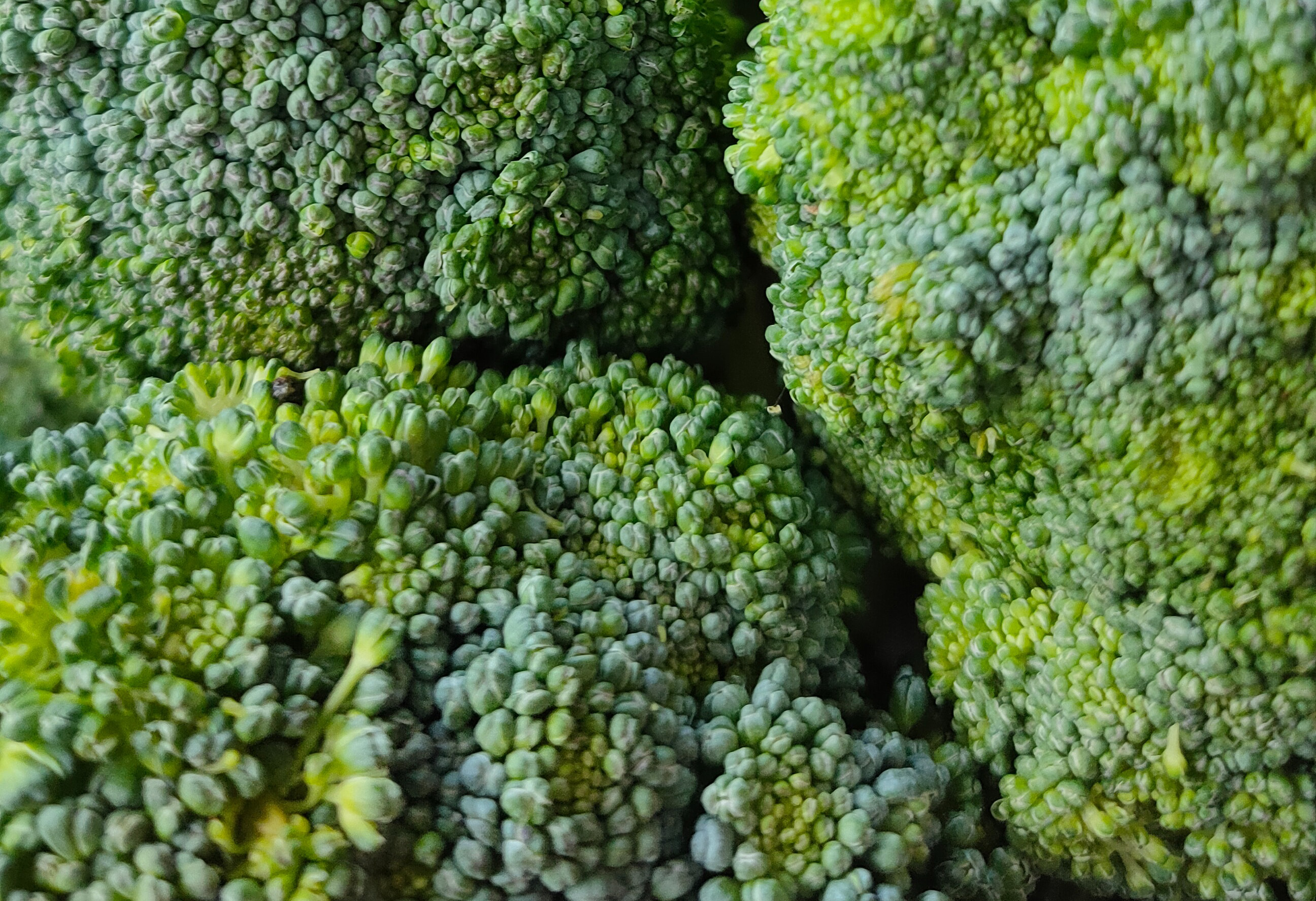 broccoli