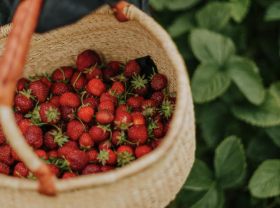 strawberries in a woven basket