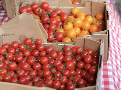 tomatoes in cardboard boxes