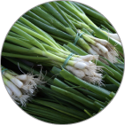 green onions/scallions
