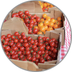 tomatoes in boxes